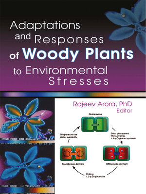 cover image of Adaptations and Responses of Woody Plants to Environmental Stresses